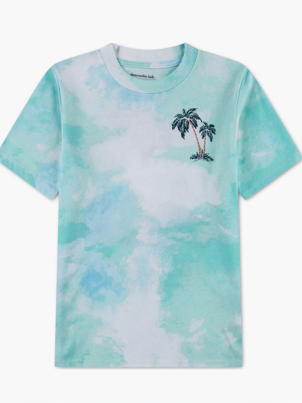 Abercrombie Kids teal and white t-shirt - size 13/14